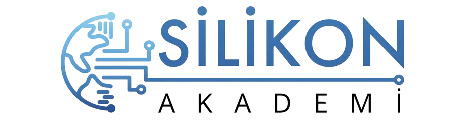 Silikon Akademi Logo