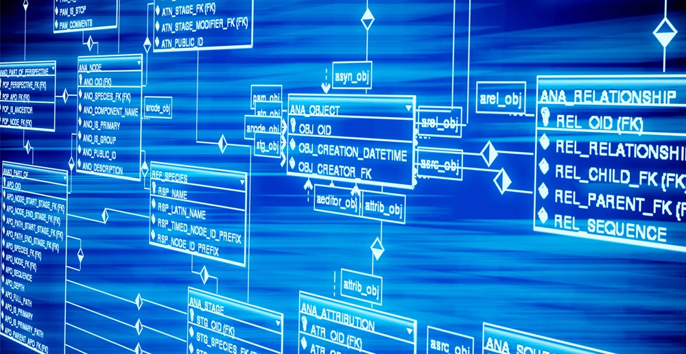 Her Yönüyle SQL Server PowerBI ile Veri Analizi ve Raporlama